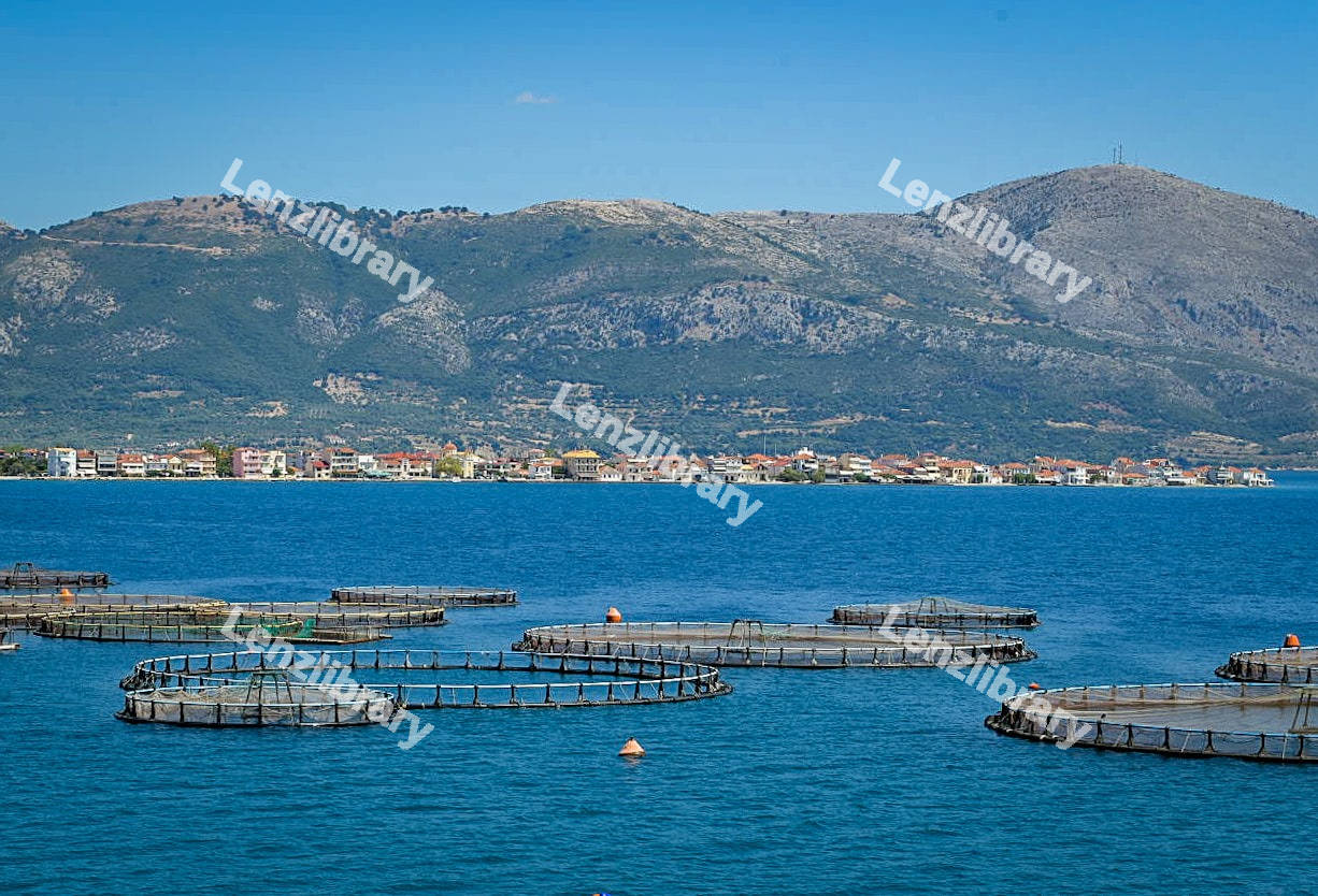 Ionian Sea